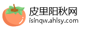皮里阳秋网